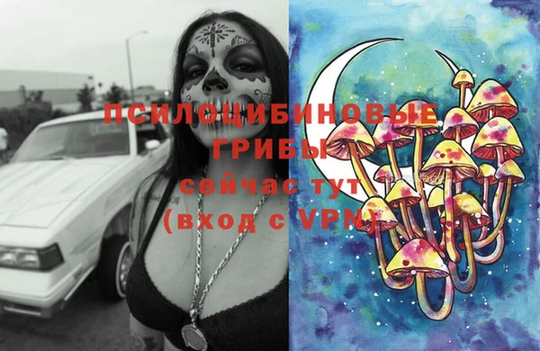 альфа пвп Нея