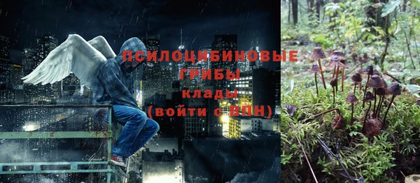 индика Новокубанск