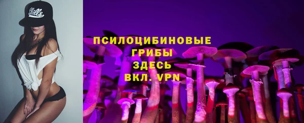 дмт Нефтегорск