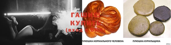 индика Новокубанск