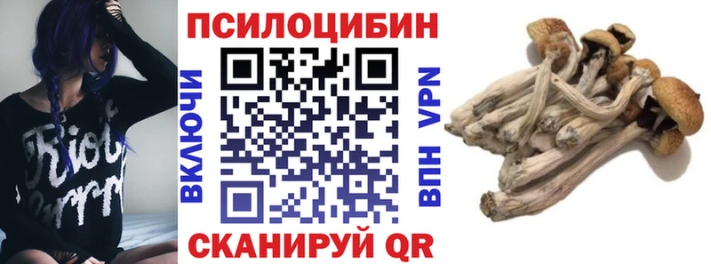 Псилоцибиновые грибы прущие грибы Подольск