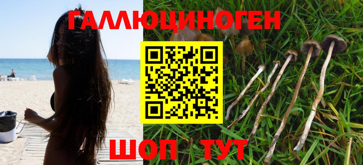 Подольск  Галлюциногенные грибы прущие грибы  продажа наркотиков  Галлюциногенные грибы мухоморы  Вход с VPN 