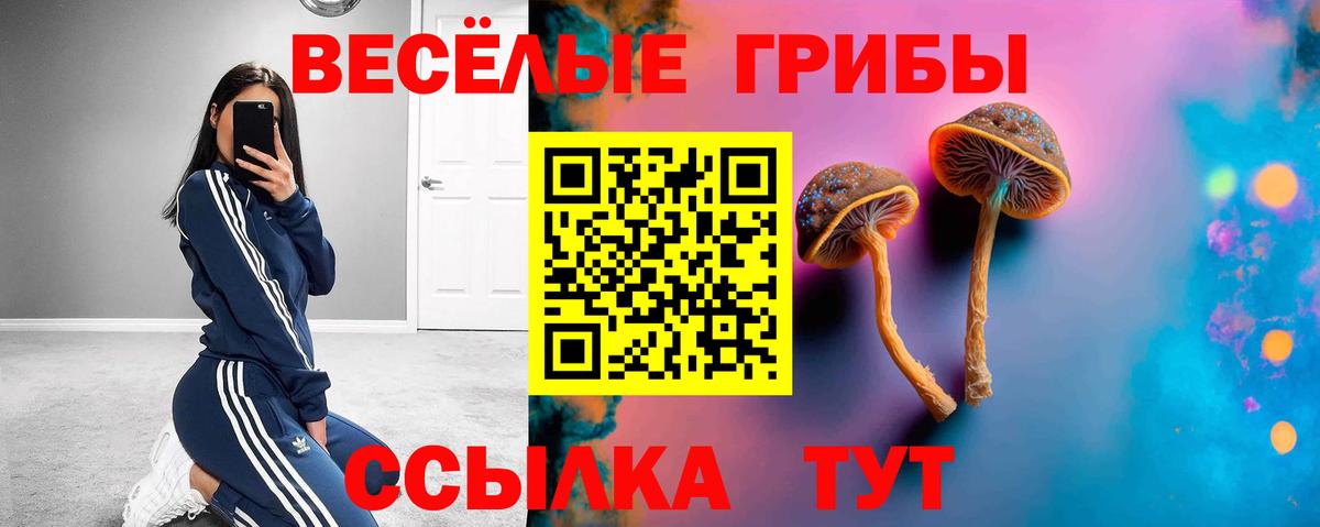 Псилоцибиновые грибы Psilocybe Подольск