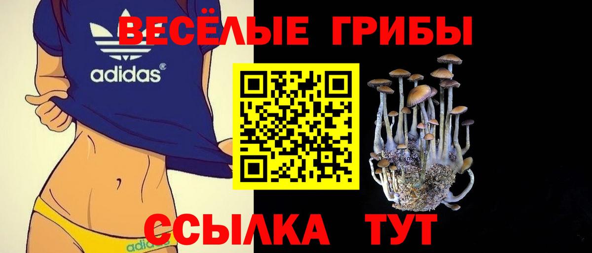 Псилоцибиновые грибы Psilocybe  Подольск 